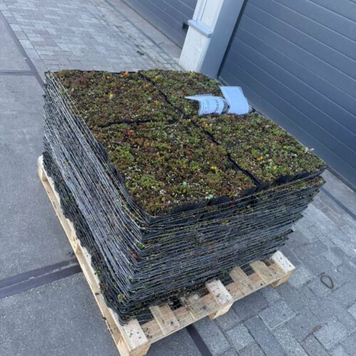 Afsluitbare fietsoverkapping Timber 36 Sedum matten voor groene daken voor onze overkappingen